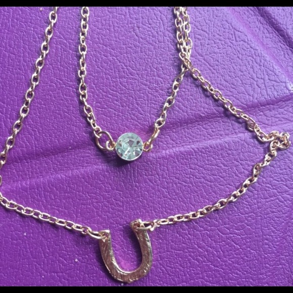 Horseshoe Necklace - Picture 4 of 4